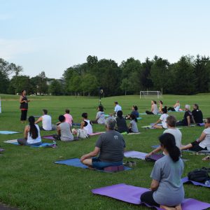 International Yoga Day 2019